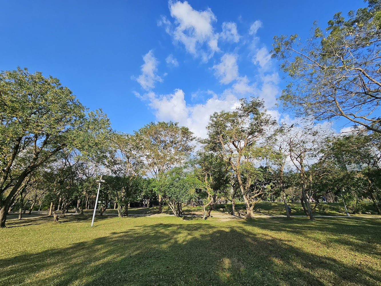 台北景點必看指南｜2025年不容錯過的熱門景點