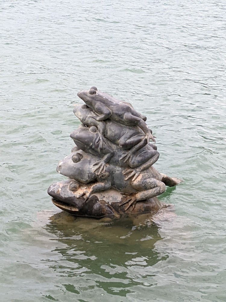 日月潭纜車必玩攻略｜你不能錯過的景點及拍攝地點