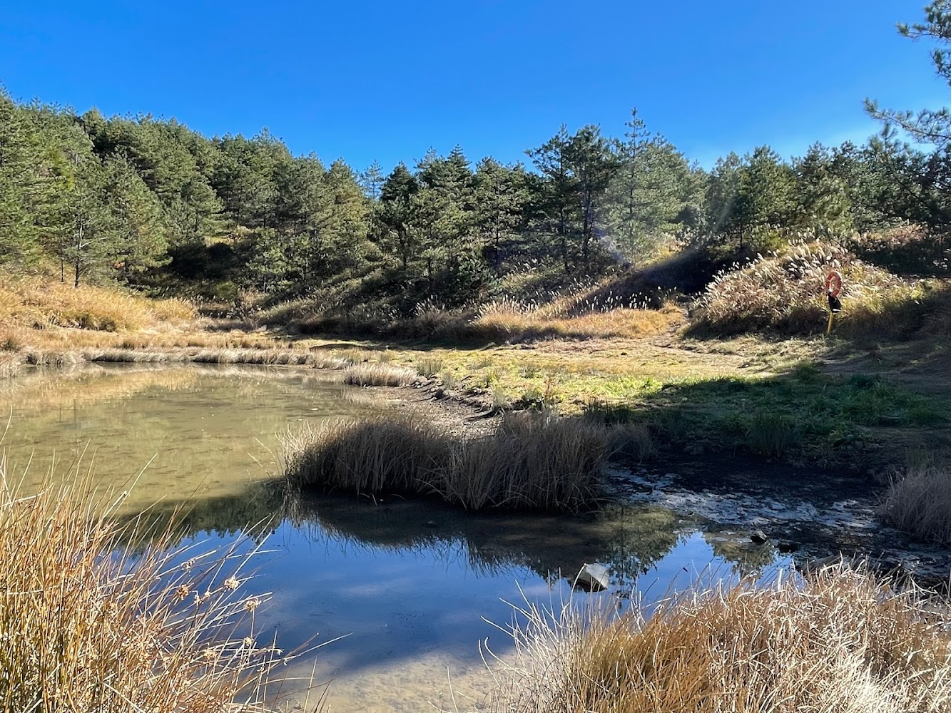 福壽山農場必遊景點｜探索自然與文化的完美融合