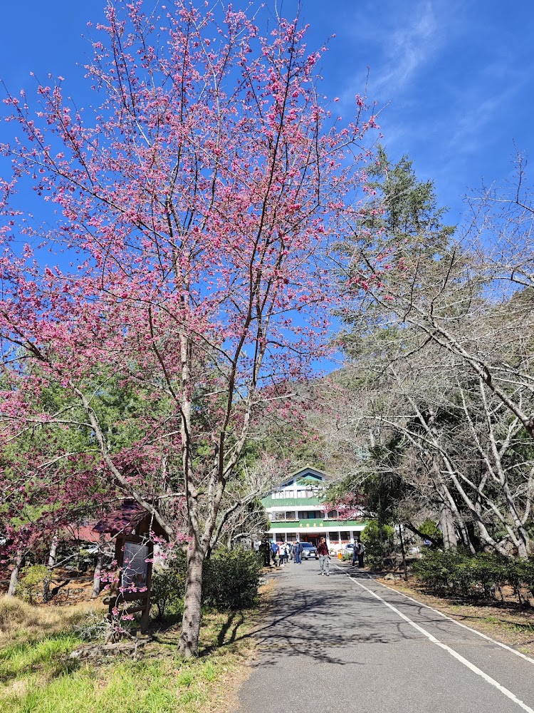 台中必去的景點推薦｜2025旅遊清單不容錯過