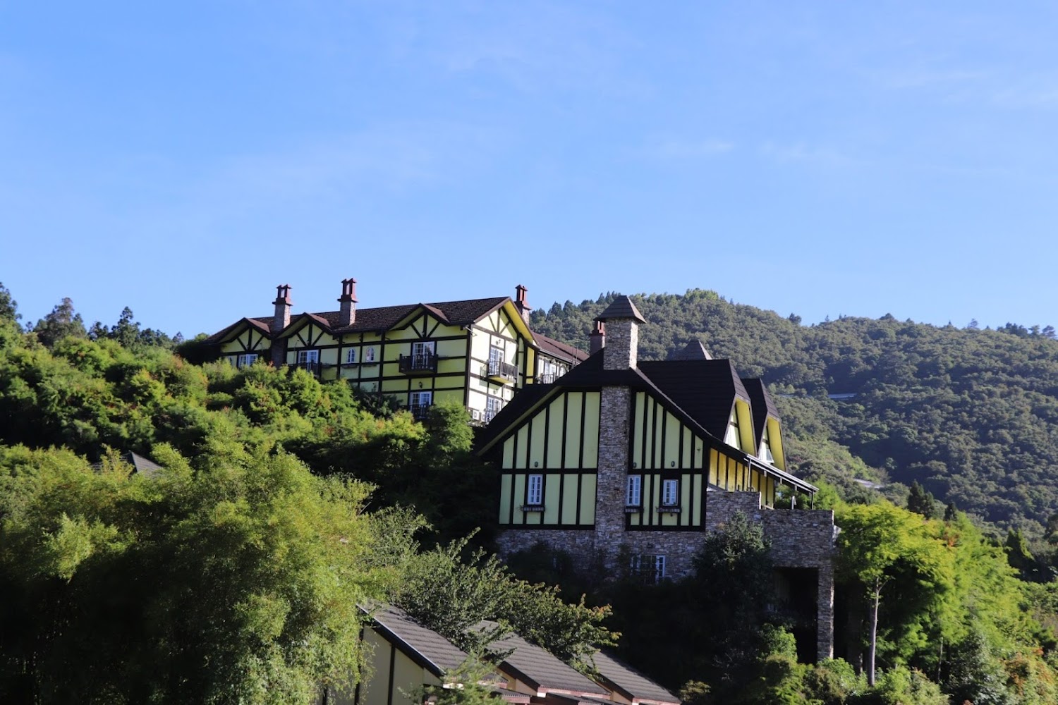 【2025】清境農場必遊攻略:不容錯過的景點與美食推薦