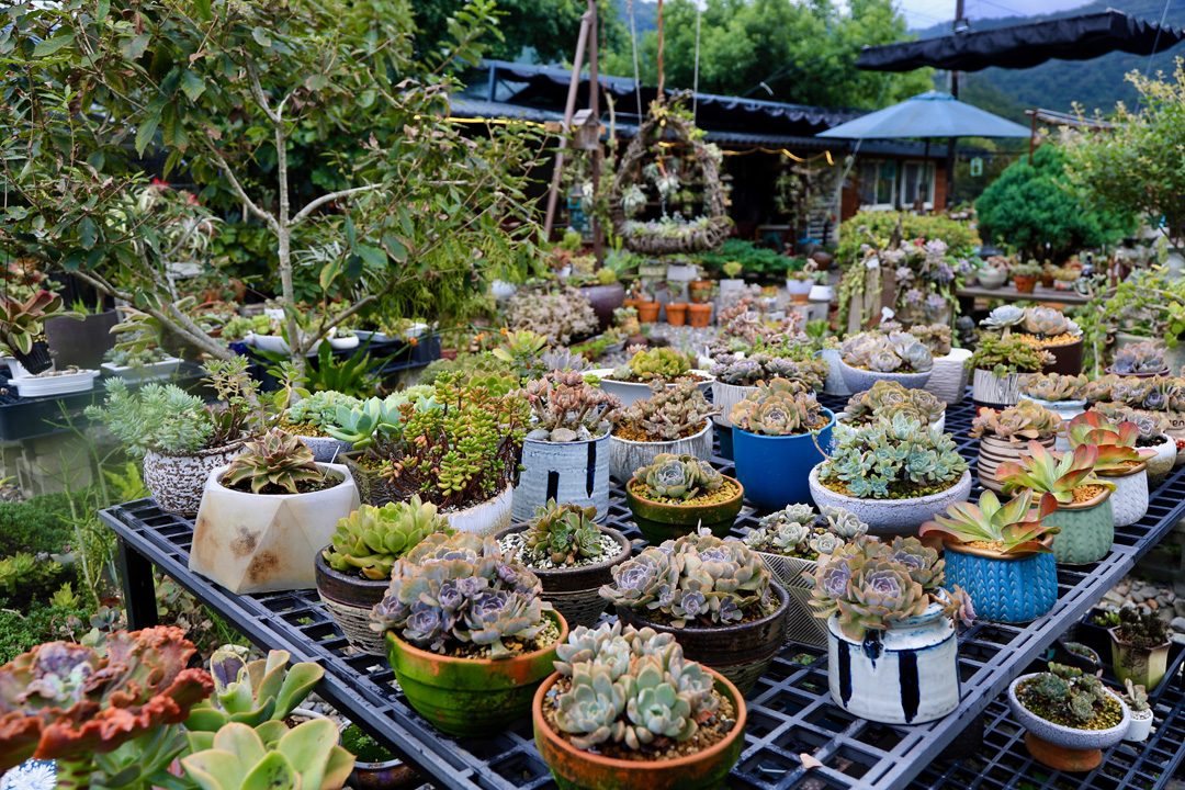 【2025宜蘭農場】不踩雷的農場推薦｜家庭旅遊必訪之地