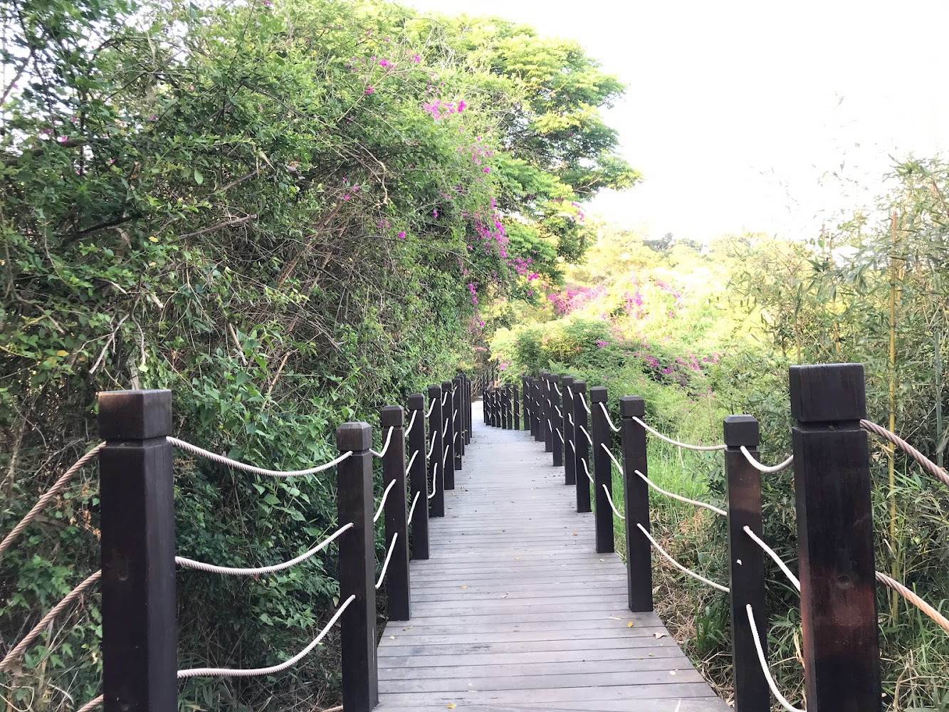 大坑十號登山步道
