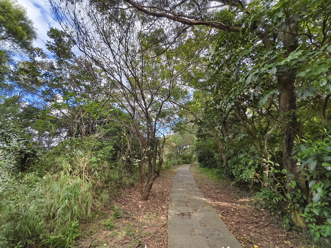 林口景點大揭密｜不容錯過的隱藏旅遊地點！