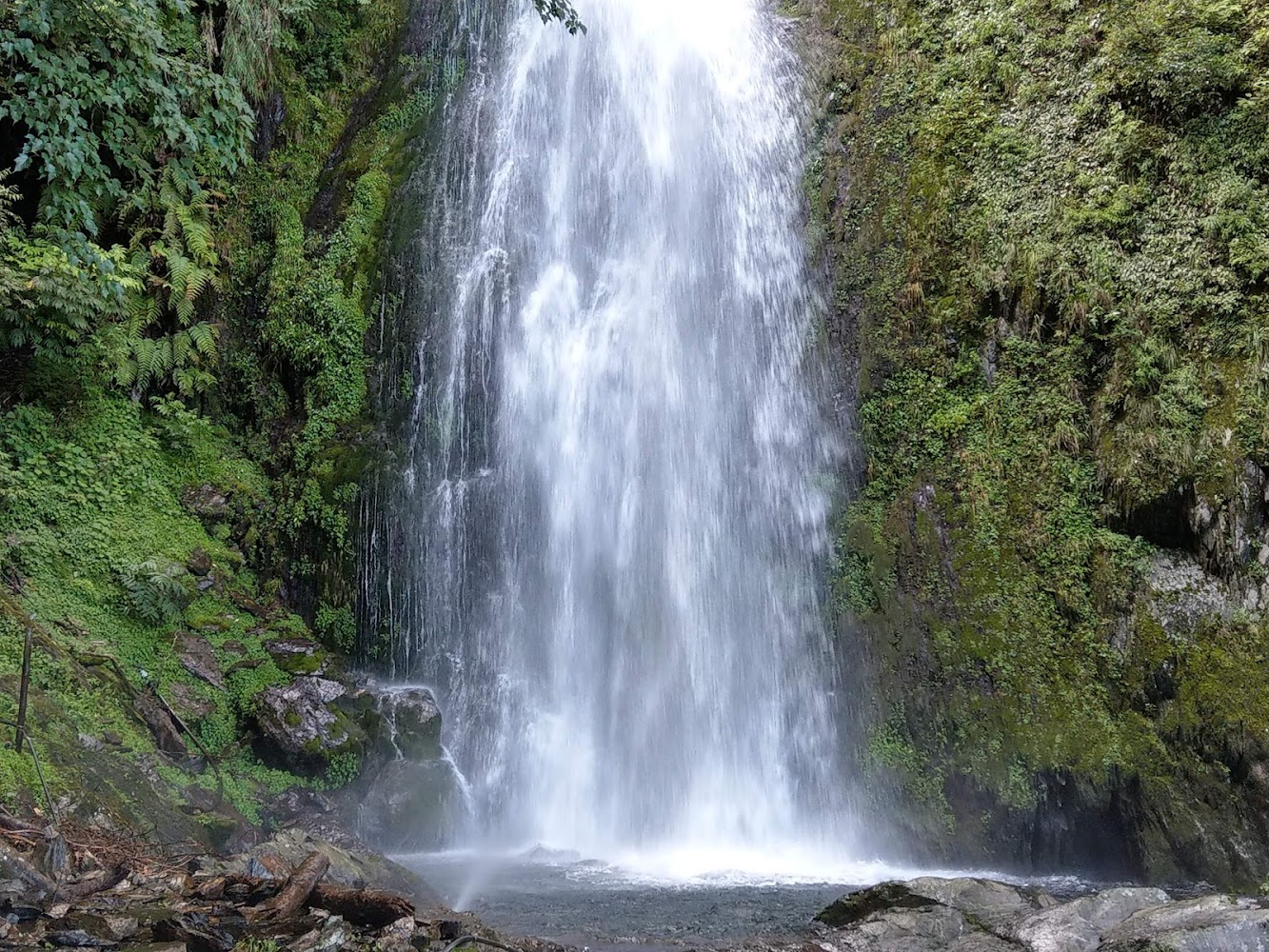 【2025】武陵農場旅遊：必住的5處特色民宿與不可錯過的景點