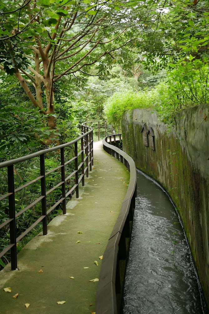 2025太平山旅遊指南｜避開人潮的隱藏景點推薦