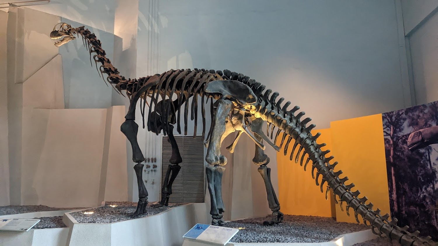 2025台中景點必遊清單｜避開高峰的秘境推薦