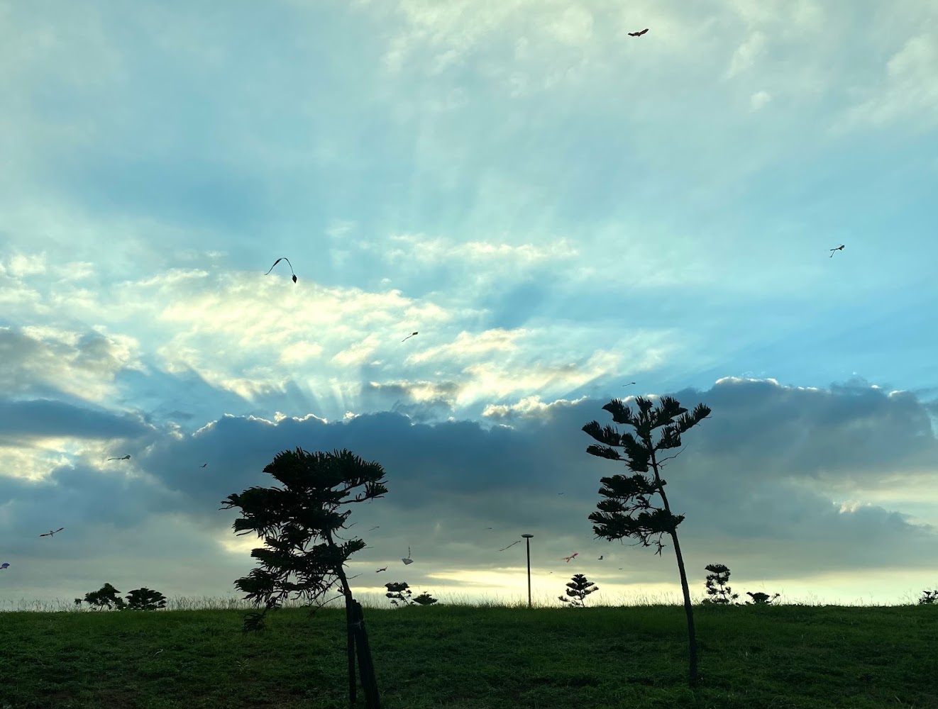 2025新竹景點必去清單｜景點絕對不能錯過