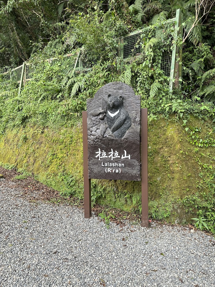 2025桃園景點必訪清單｜避開遊客潮的秘境