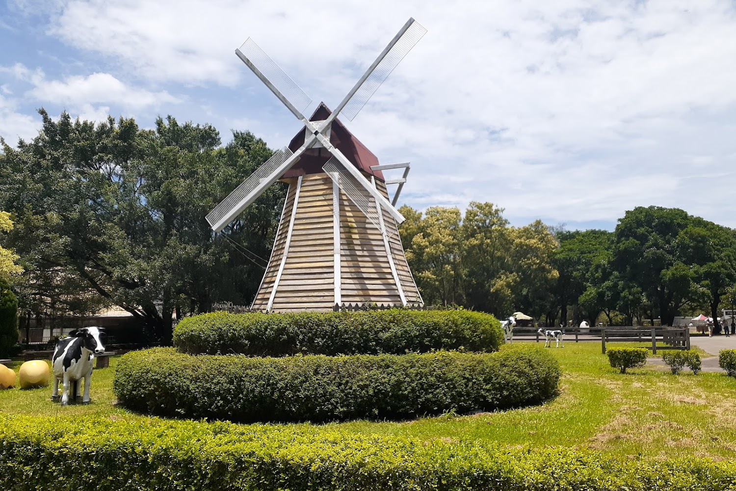 2025 桃園景點推薦｜避開人潮的秘境打卡熱點