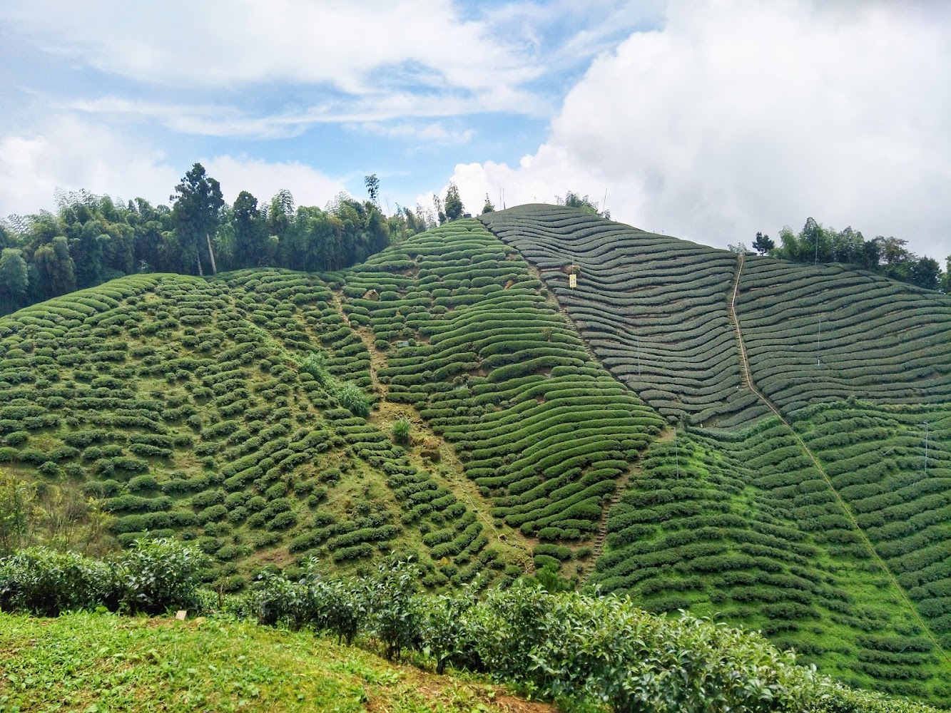 2025杉林溪旅遊指南｜探索隱藏的必訪景點