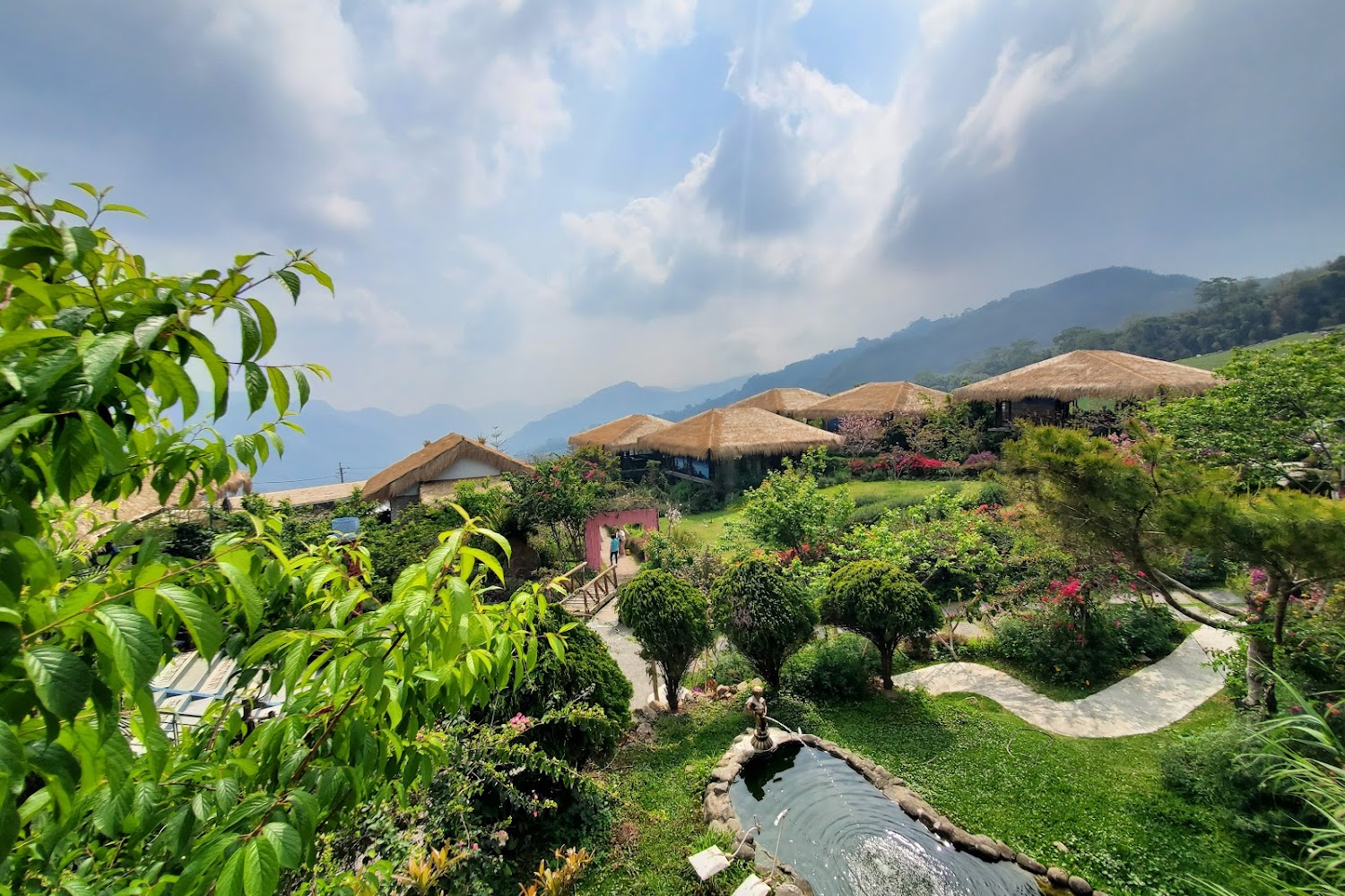 2025阿里山旅遊指南：必訪景點與未來潛力