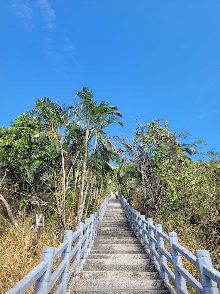 曾文水庫必訪景點推薦｜當地隱藏美食大揭密