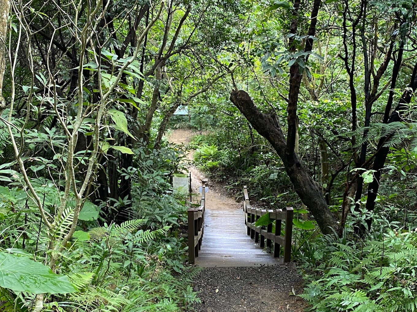 台北景點指南｜2025必訪的隱藏秘境，避開人潮擁擠的最佳選擇