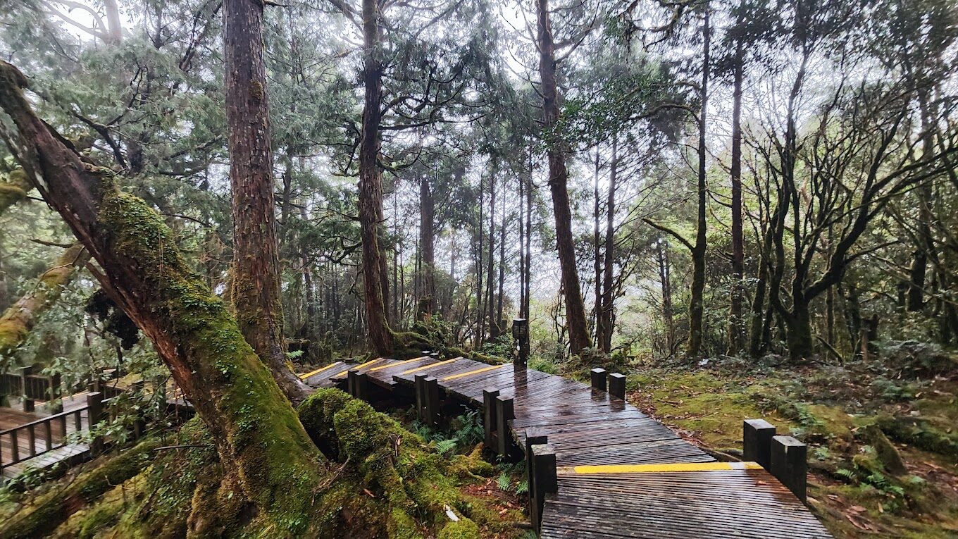 太平山蹦蹦車攻略｜打卡必去景點與注意事項