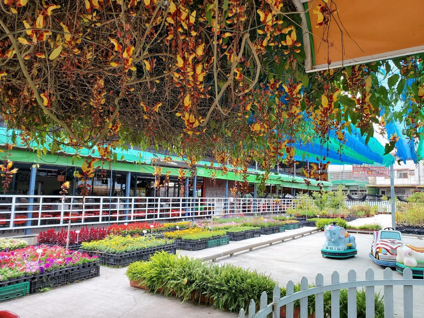 【2025台中景點大揭密】避開這旅遊雷區，讓你的旅途不留遺憾