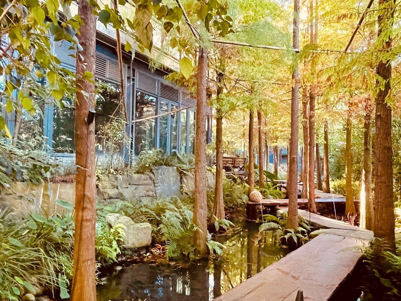 【2025台中景點大揭密】避開這旅遊雷區，讓你的旅途不留遺憾