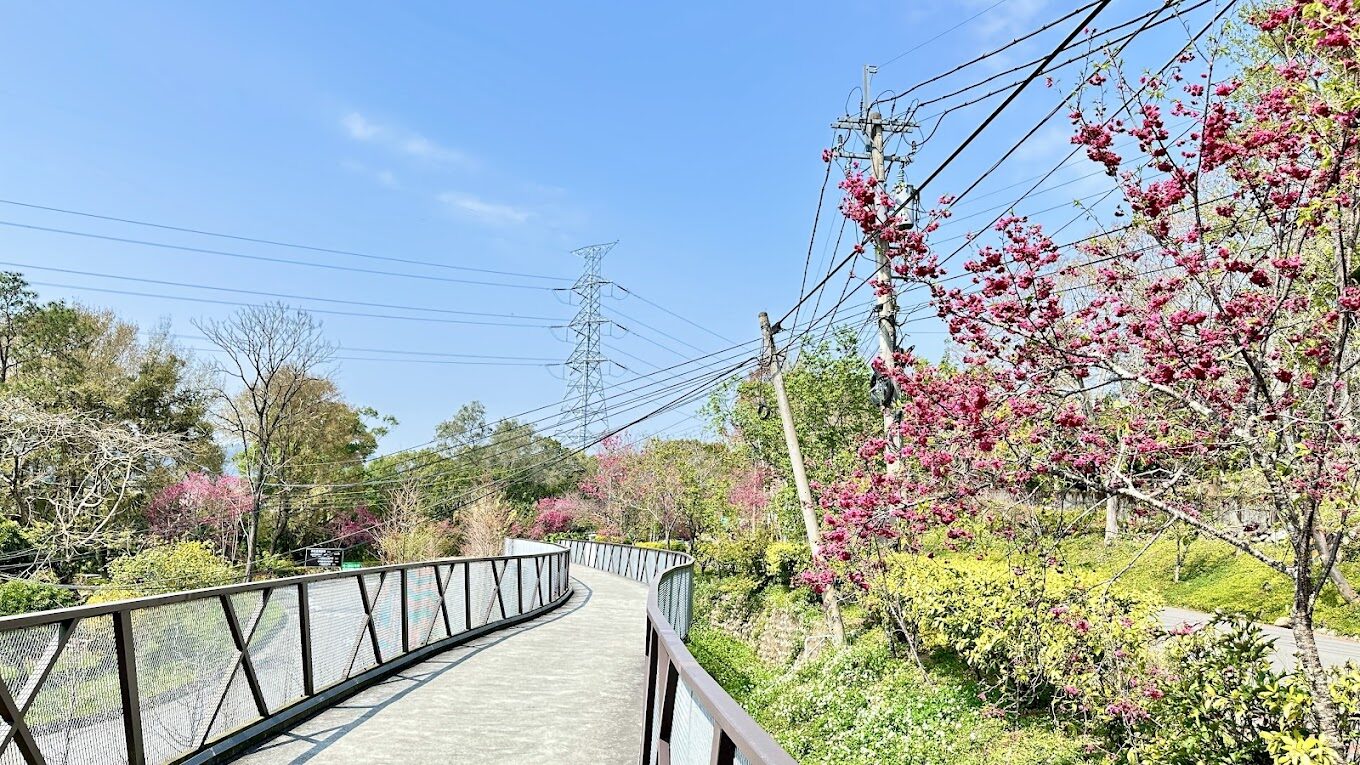 2025】東勢林場必遊景點推薦｜避開遊客誤區的秘訣