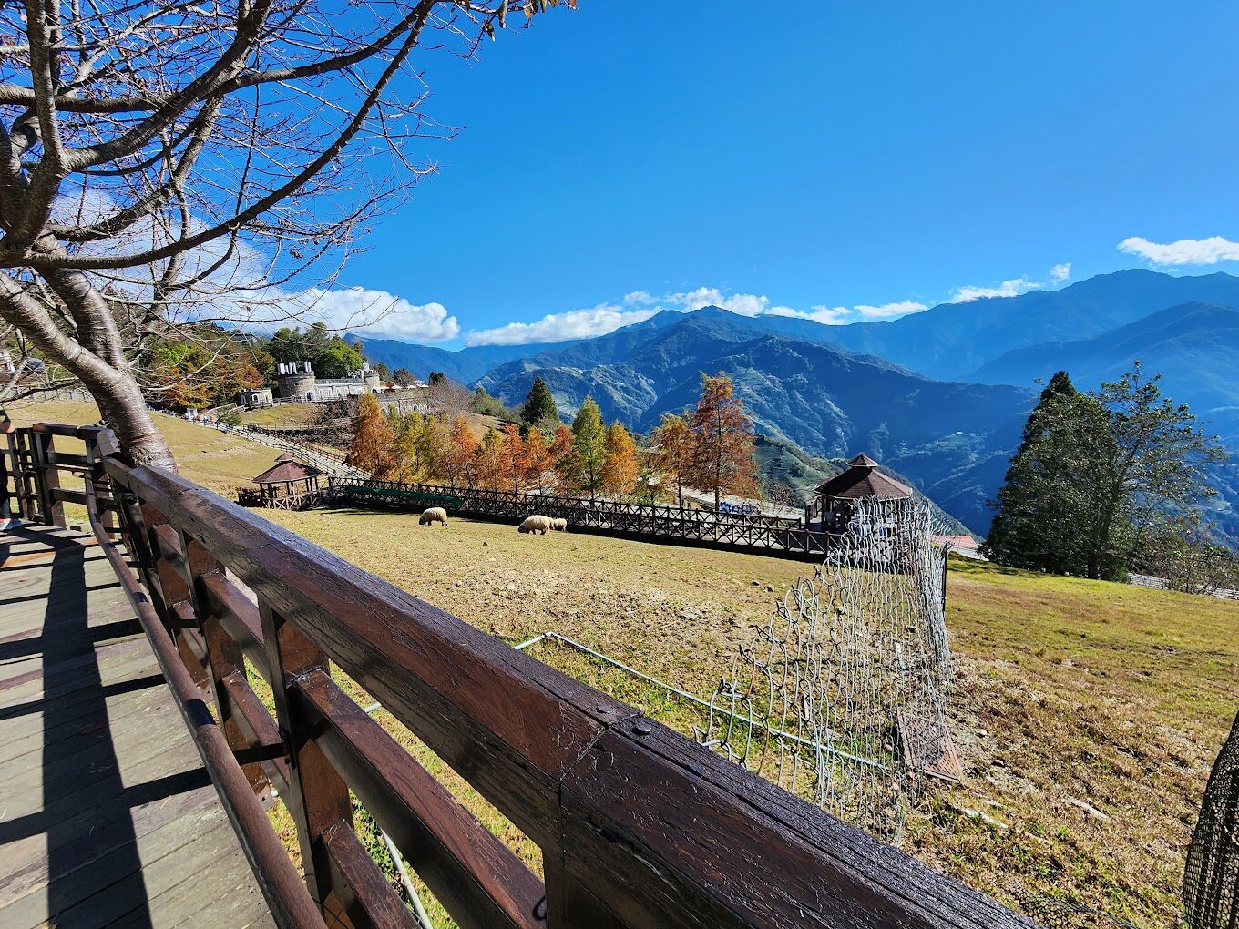 南投景點攻略：避免錯過這秘境景點