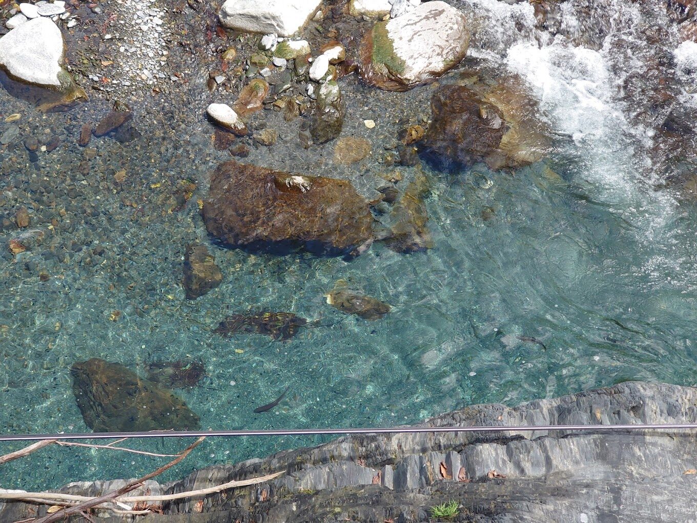 武陵農場必訪景點推薦｜不容錯過的自然美景