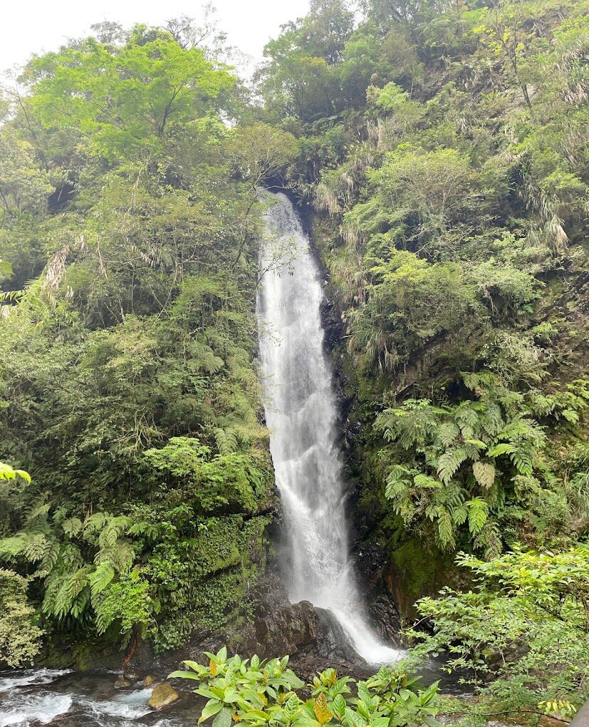 九寮溪步道探險指南｜不容錯過的秘境景點及注意事項