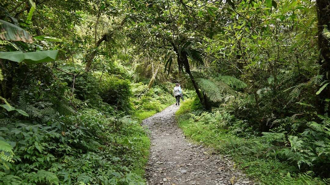 九寮溪步道探險指南｜不容錯過的秘境景點及注意事項