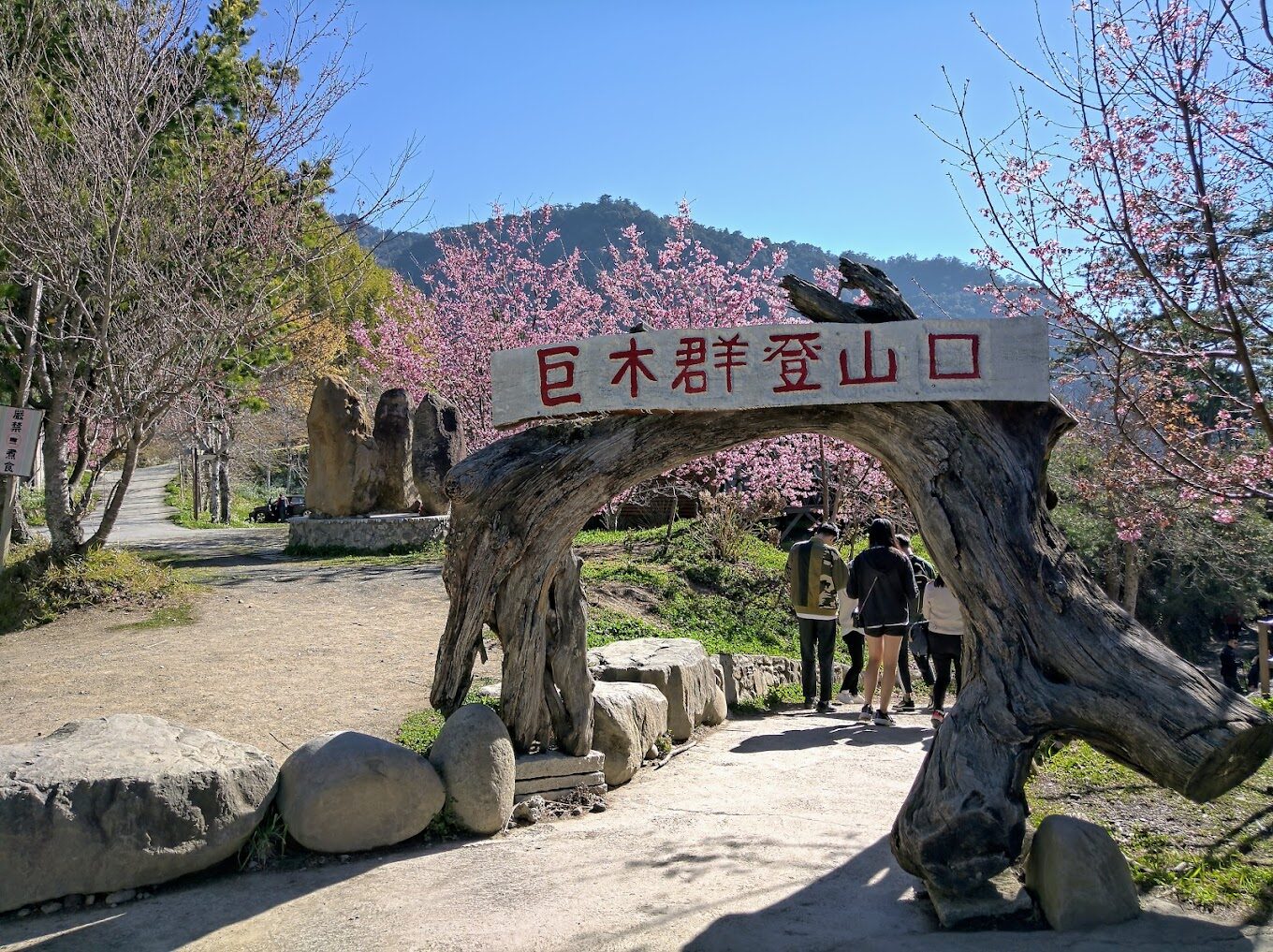 司馬庫斯旅遊攻略：探索台灣最後的秘境村落