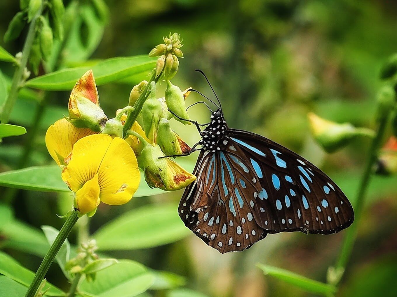 高雄秘境景點：你絕對不可錯過的隱藏美景