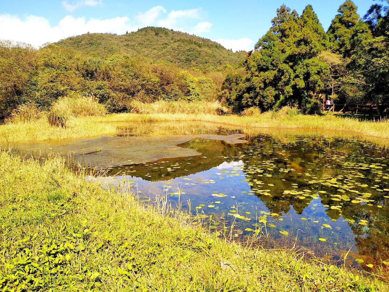 陽明山必去景點清單｜2025年絕對不能錯過的秘密景點