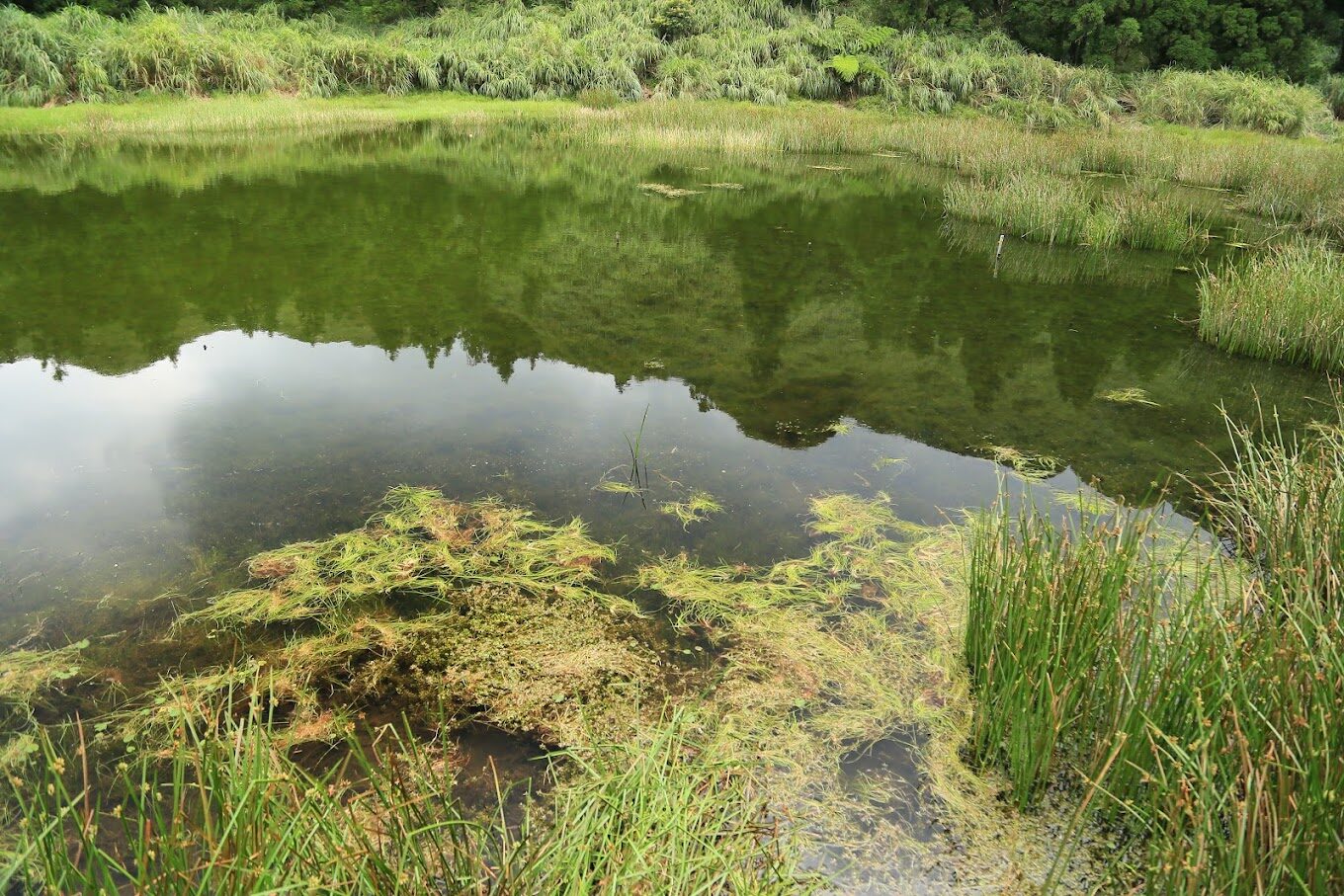 陽明山必去景點清單｜2025年絕對不能錯過的秘密景點