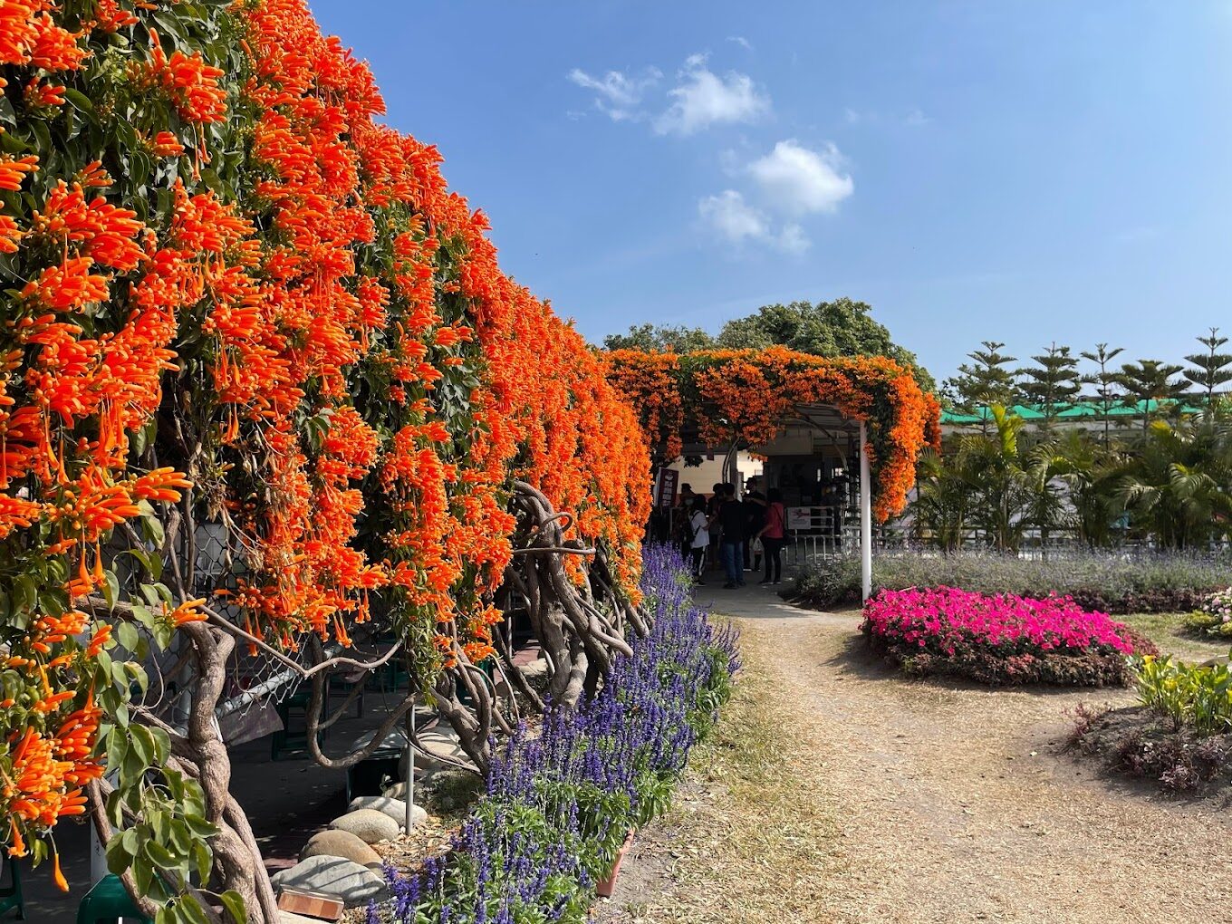 【2025】后里景點必訪攻略｜探索不容錯過的秘境