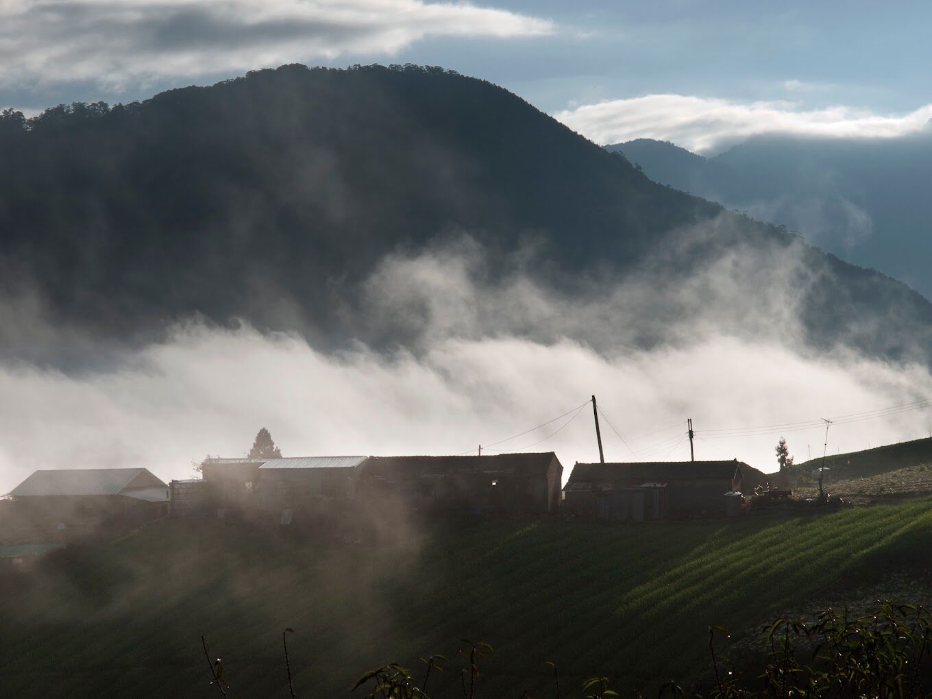福壽山農場旅遊指南｜必訪景點與在地美食推薦