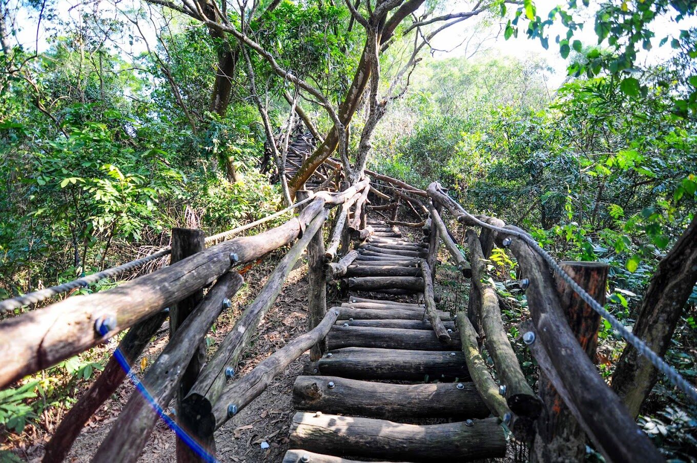 【2025】大坑步道全攻略|遊客必避開的錯誤