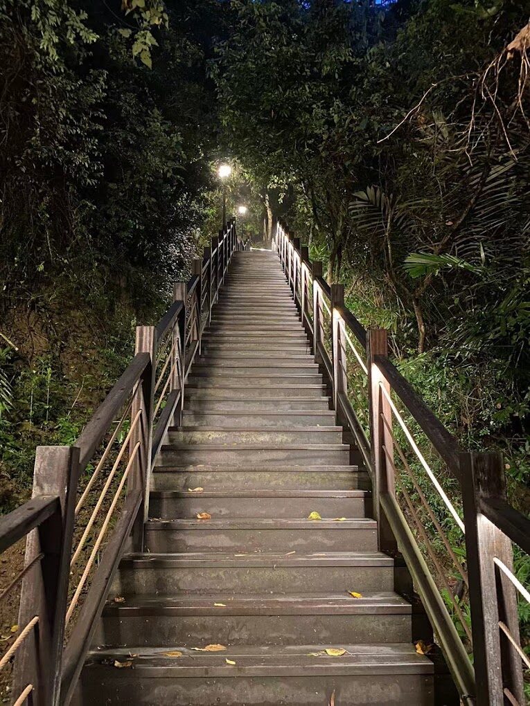 【2025】大坑步道全攻略|遊客必避開的錯誤