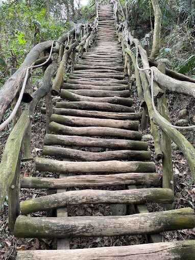 【2025】大坑步道全攻略｜遊客必避開的錯誤