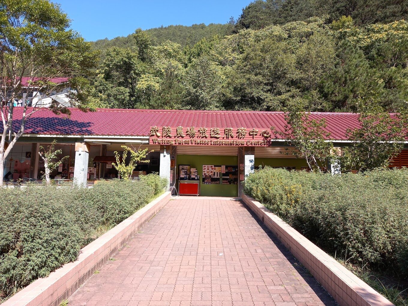 【2025】武陵農場必玩亮點！從櫻花季節到美食推薦全攻略