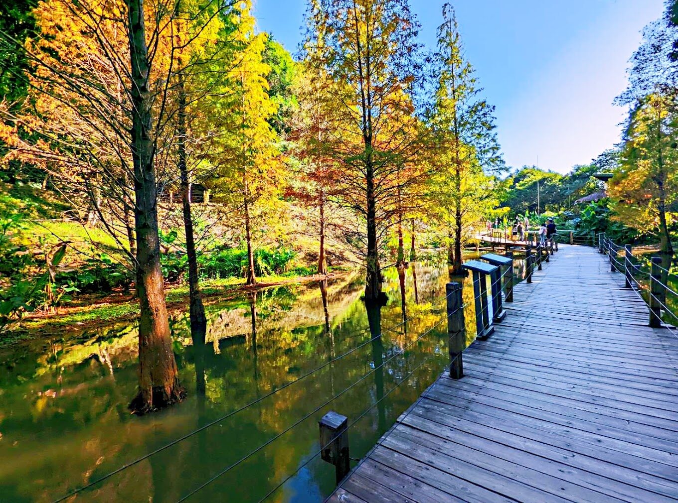 綠世界旅遊指南｜探索自然奧秘的必訪景點