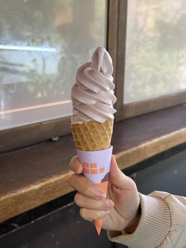 【2025】探索薰衣草森林的獨特體驗｜不容錯過的浪漫旅遊景點