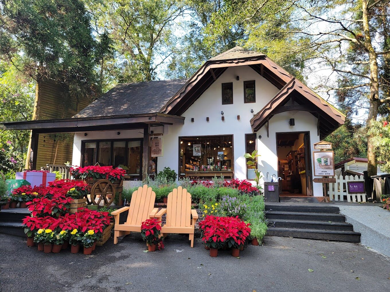 【2025】探索薰衣草森林的獨特體驗｜不容錯過的浪漫旅遊景點