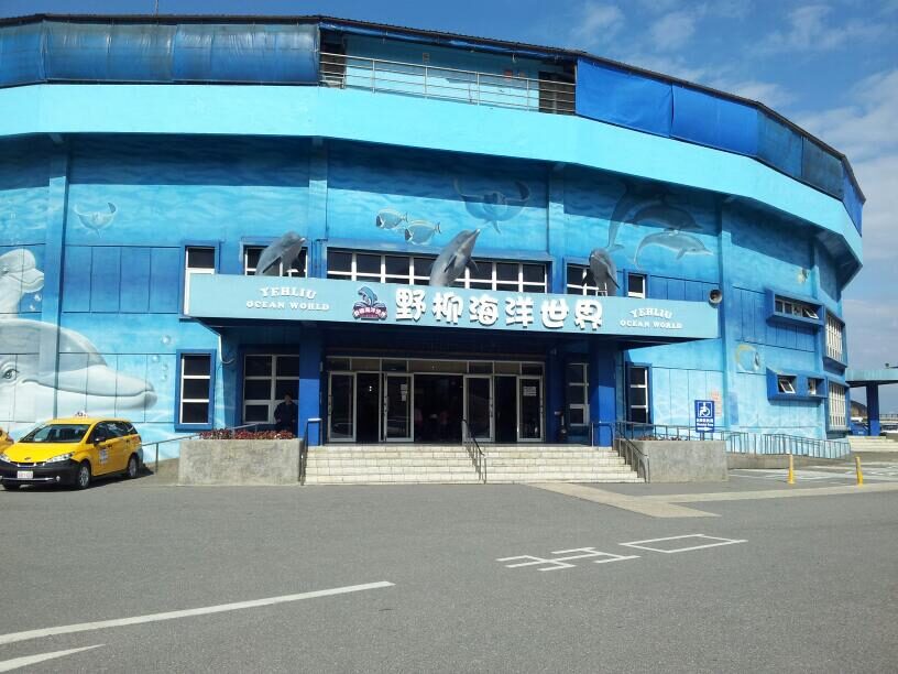【2025】遊客必看！避免在野柳海洋世界錯過這不容錯過的精彩表演