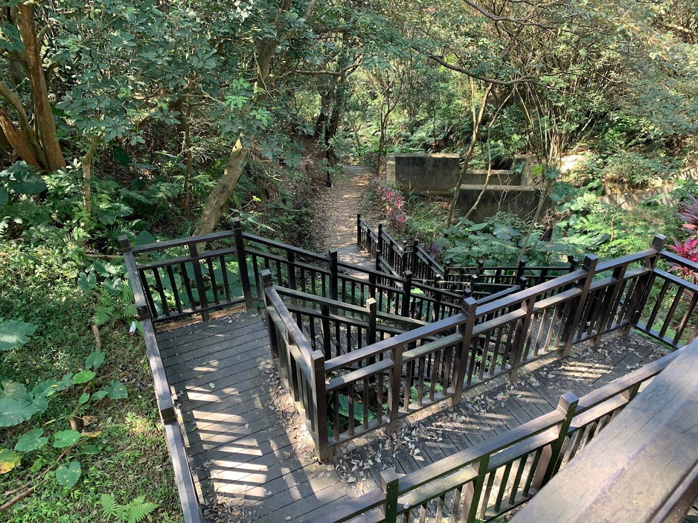 林口景點大揭密｜不容錯過的隱藏旅遊地點！