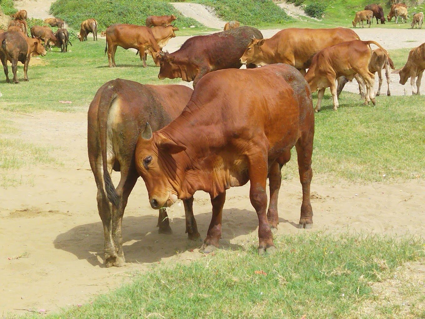 林口景點大揭密｜不容錯過的隱藏旅遊地點！