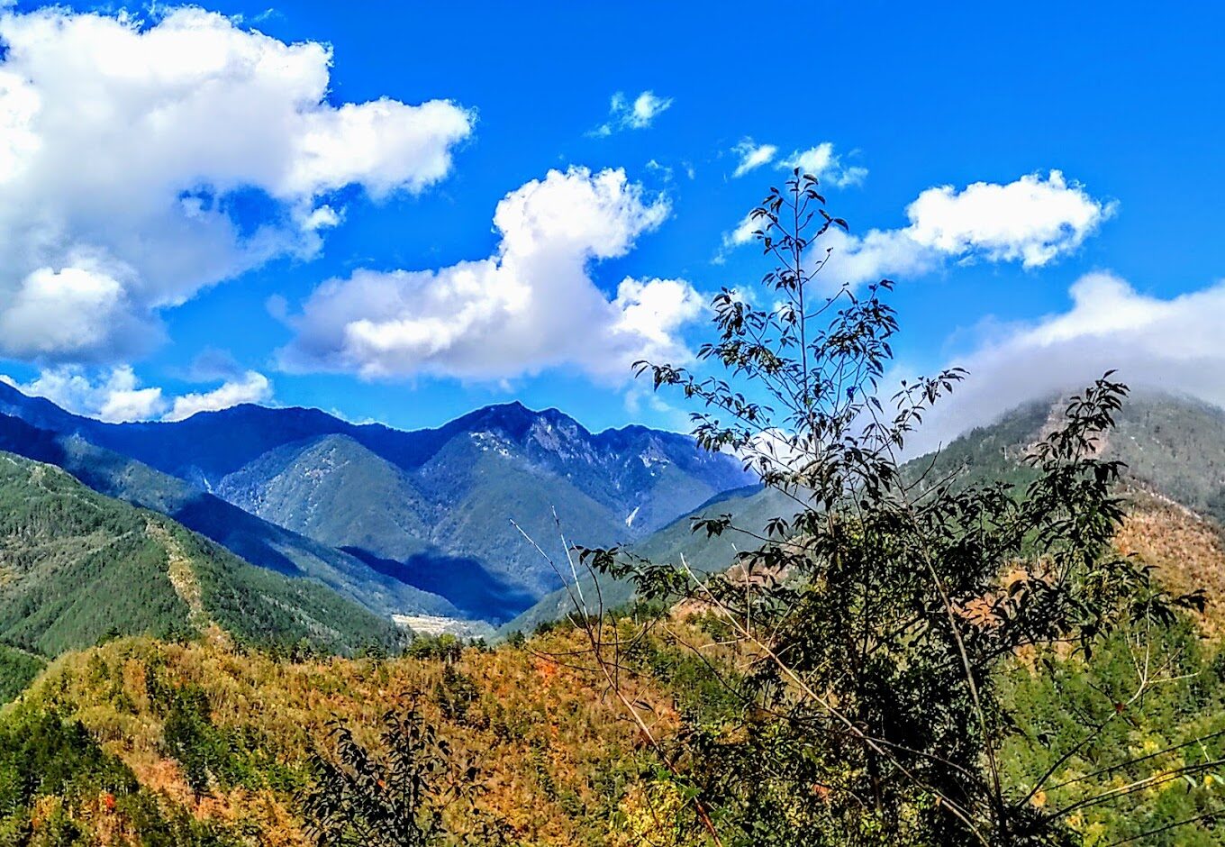 雪霸休閒農場必知的亮點｜旅遊迷不可錯過的自然天堂