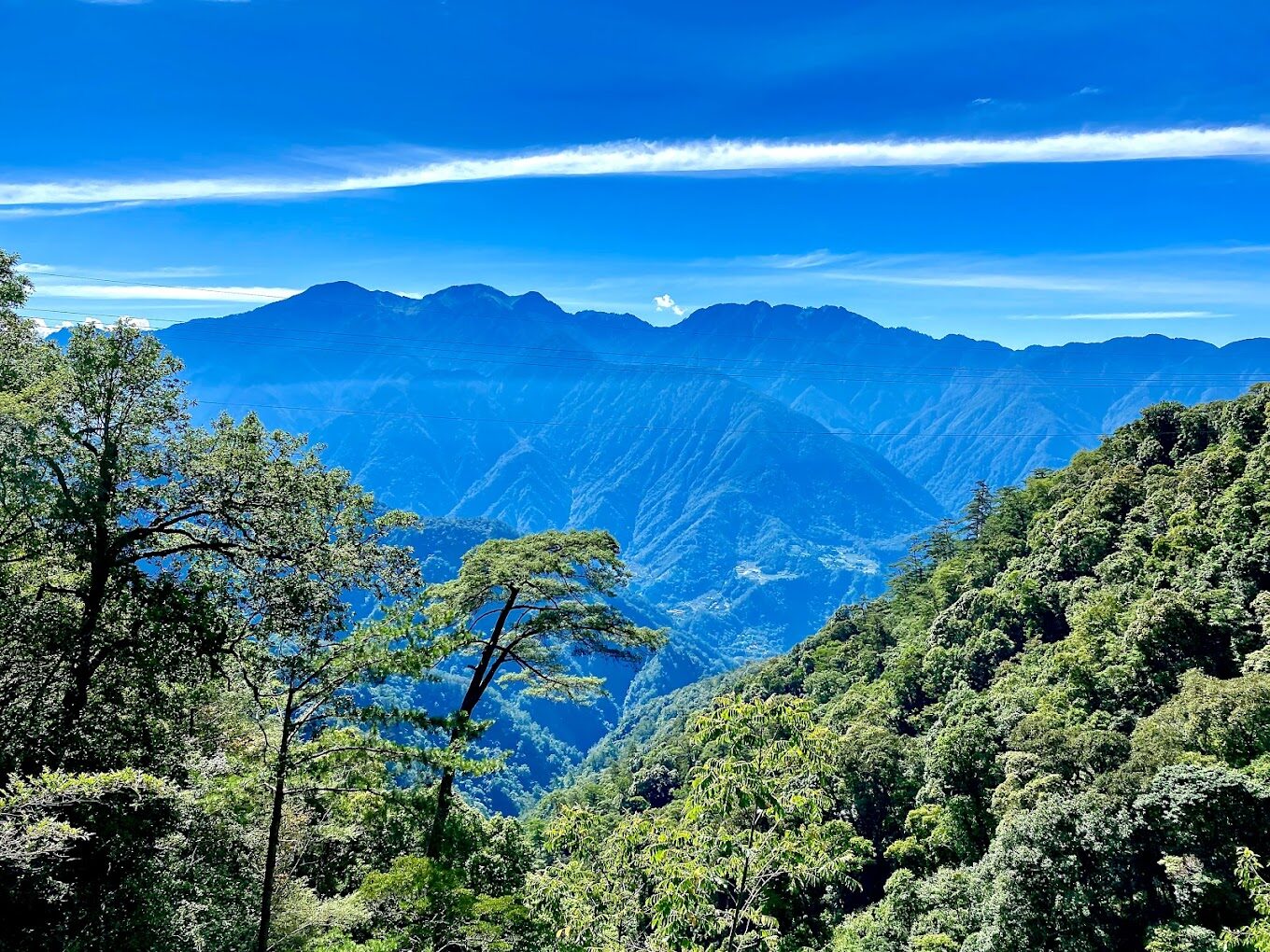 2025谷關溫泉旅遊指南｜避開人潮的秘密景點