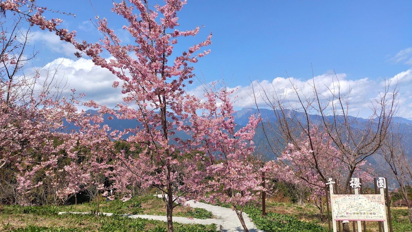 福壽山農場必遊景點｜來訪前必讀的農場攻略