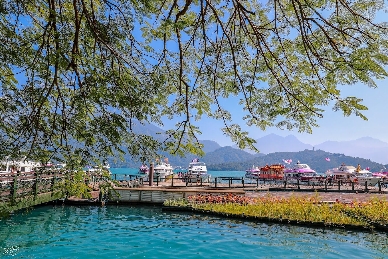 【2025】南投景點必去清單｜避免錯過的隱藏秘境