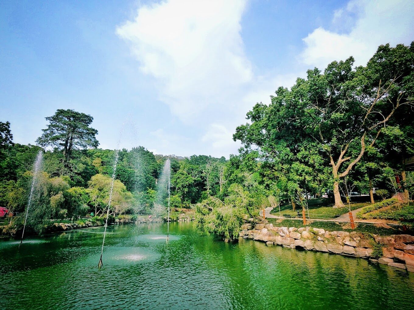 東勢林場必遊景點｜探索2025年的自然秘境以及不容錯過的活動