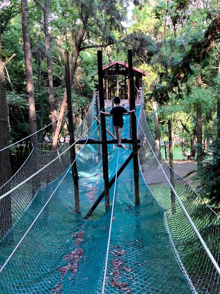 東勢林場必遊景點｜探索2025年的自然秘境以及不容錯過的活動