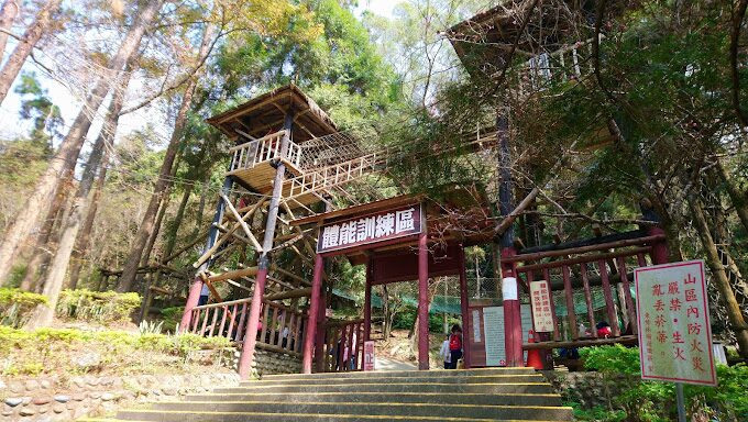 東勢林場必遊景點｜探索2025年的自然秘境以及不容錯過的活動