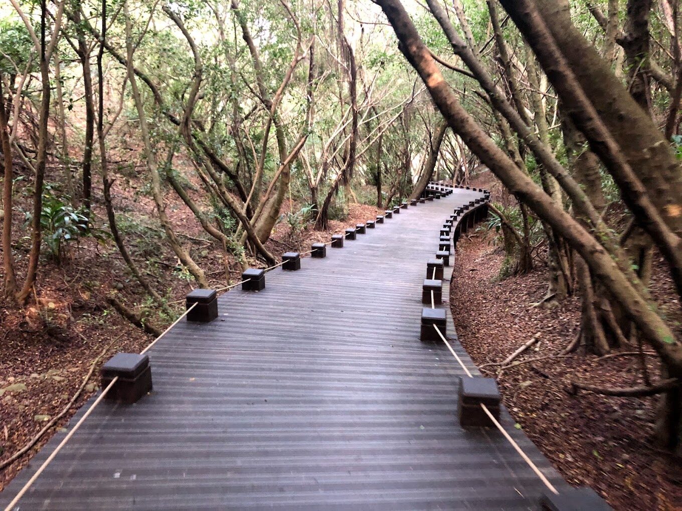 2025必去台中景點：你未聽過的隱藏寶藏